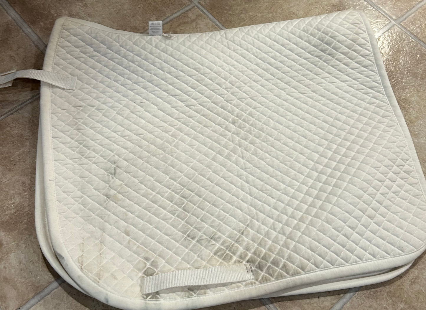 White dressage pad