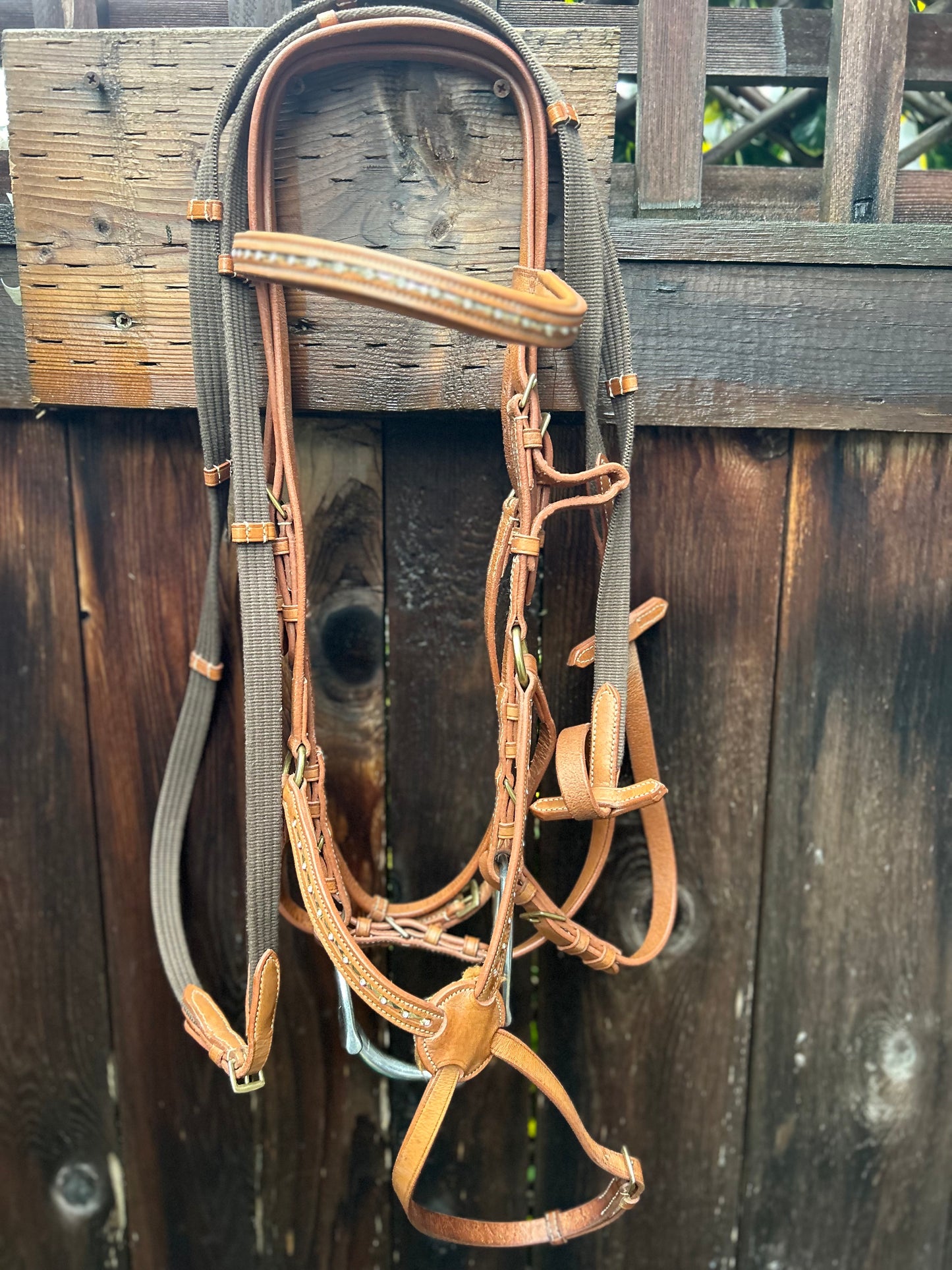 Full size figure 8 light brown bling bridle