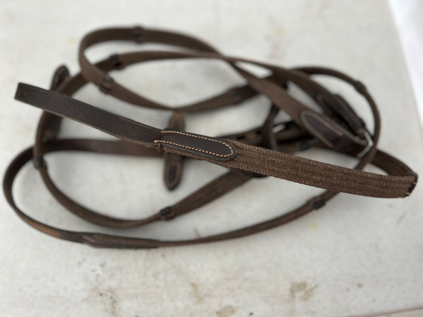 Brown webbed reins