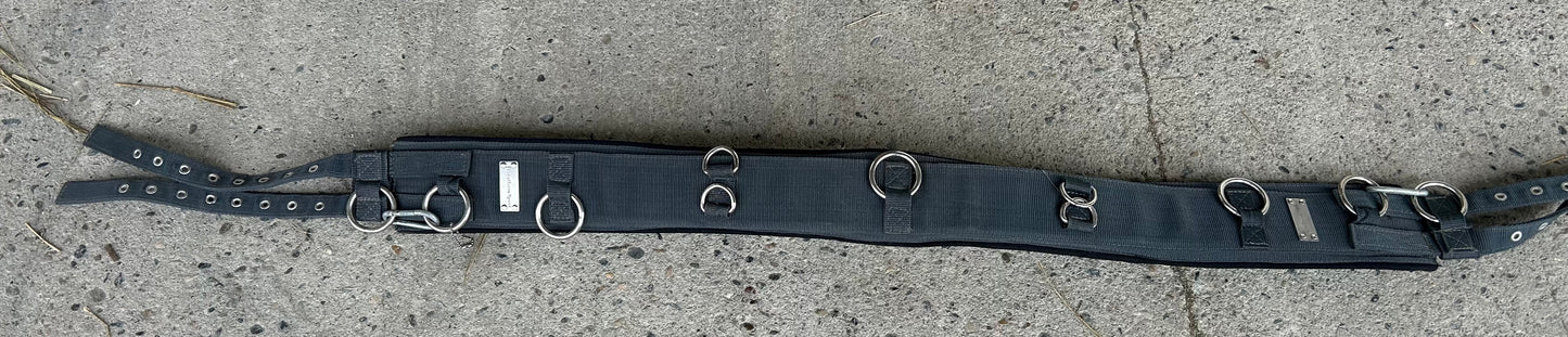 Trans horse sport surcingle and padding