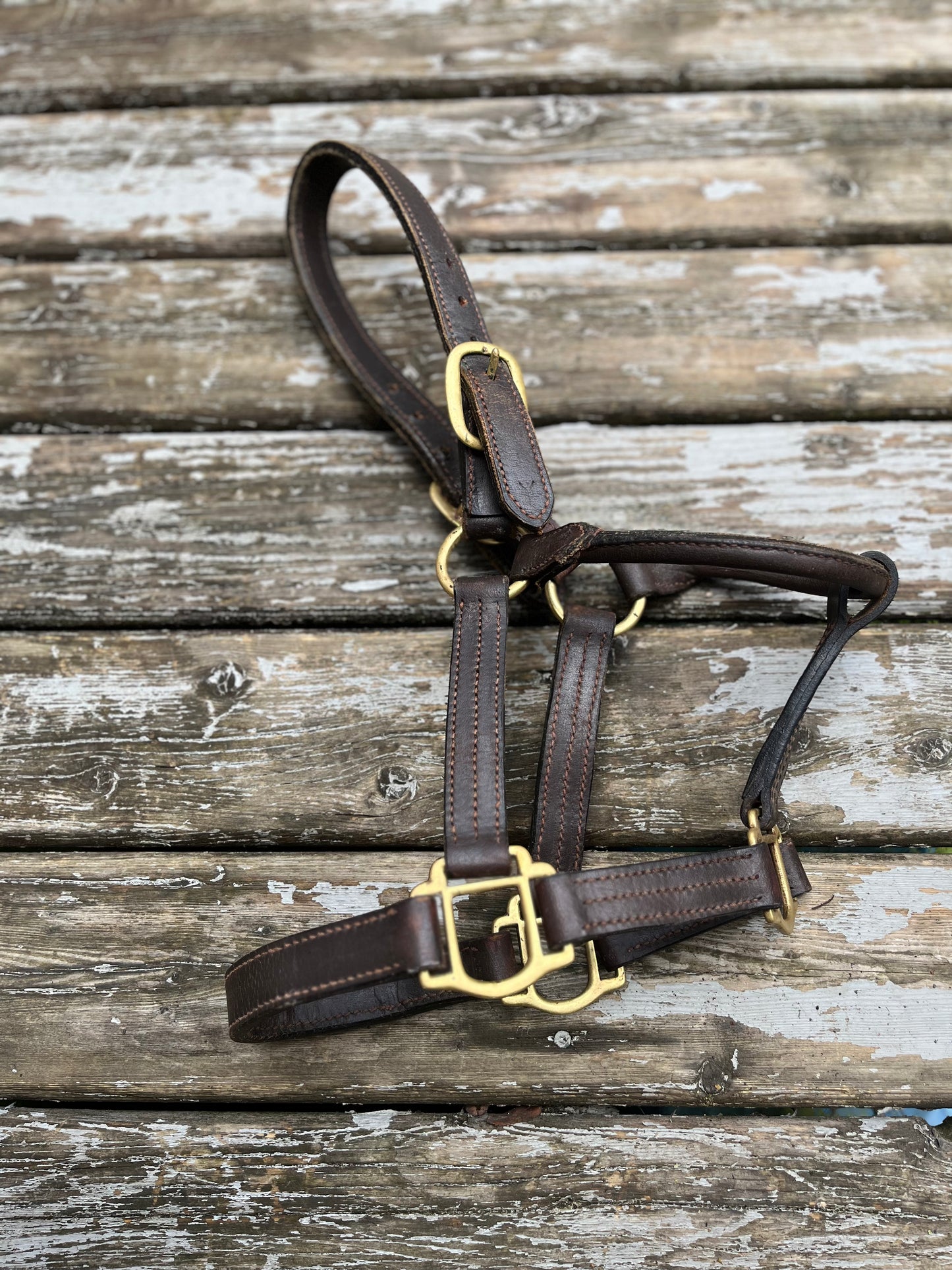 Leather halter