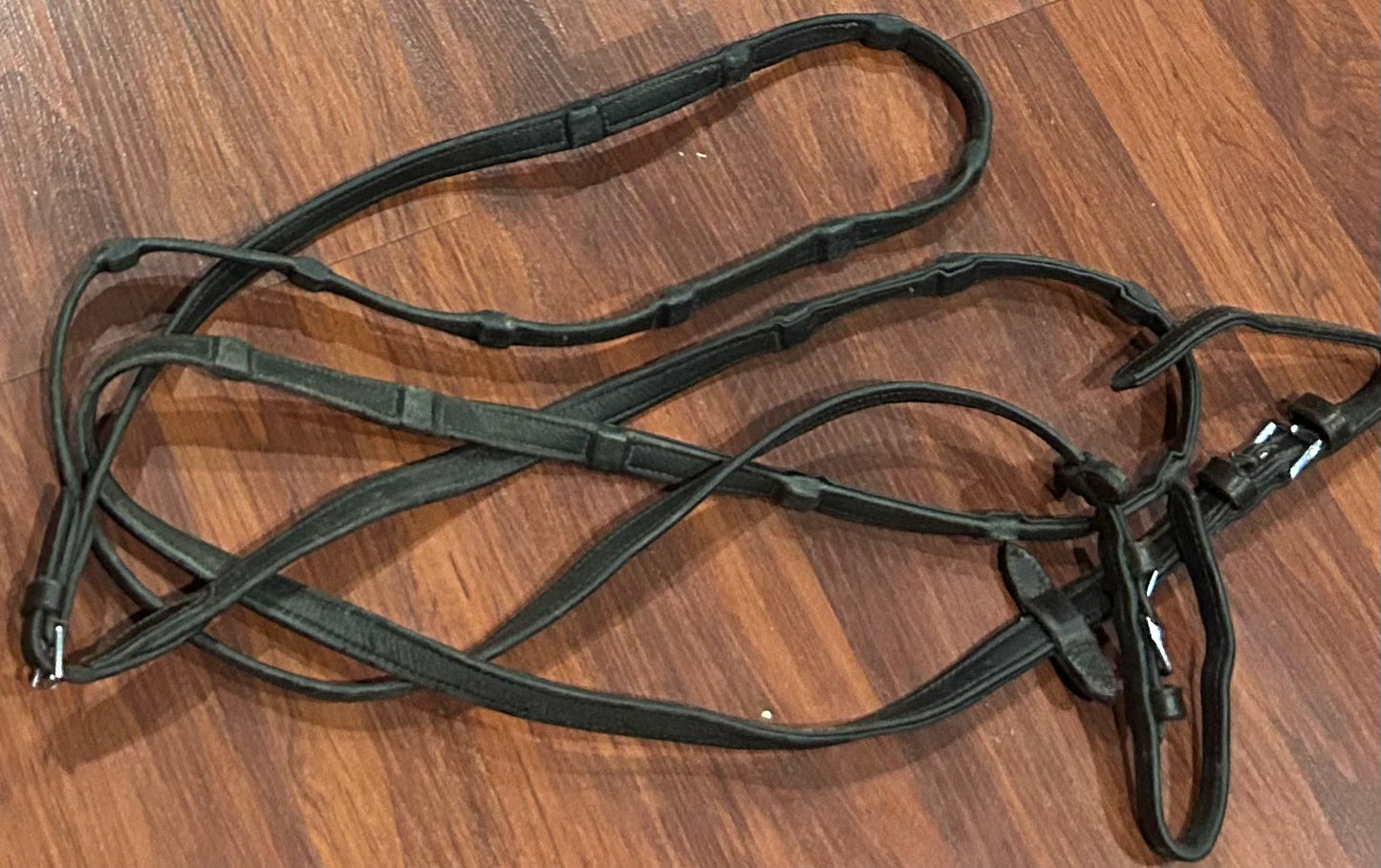 Schockemohle Brown reins.