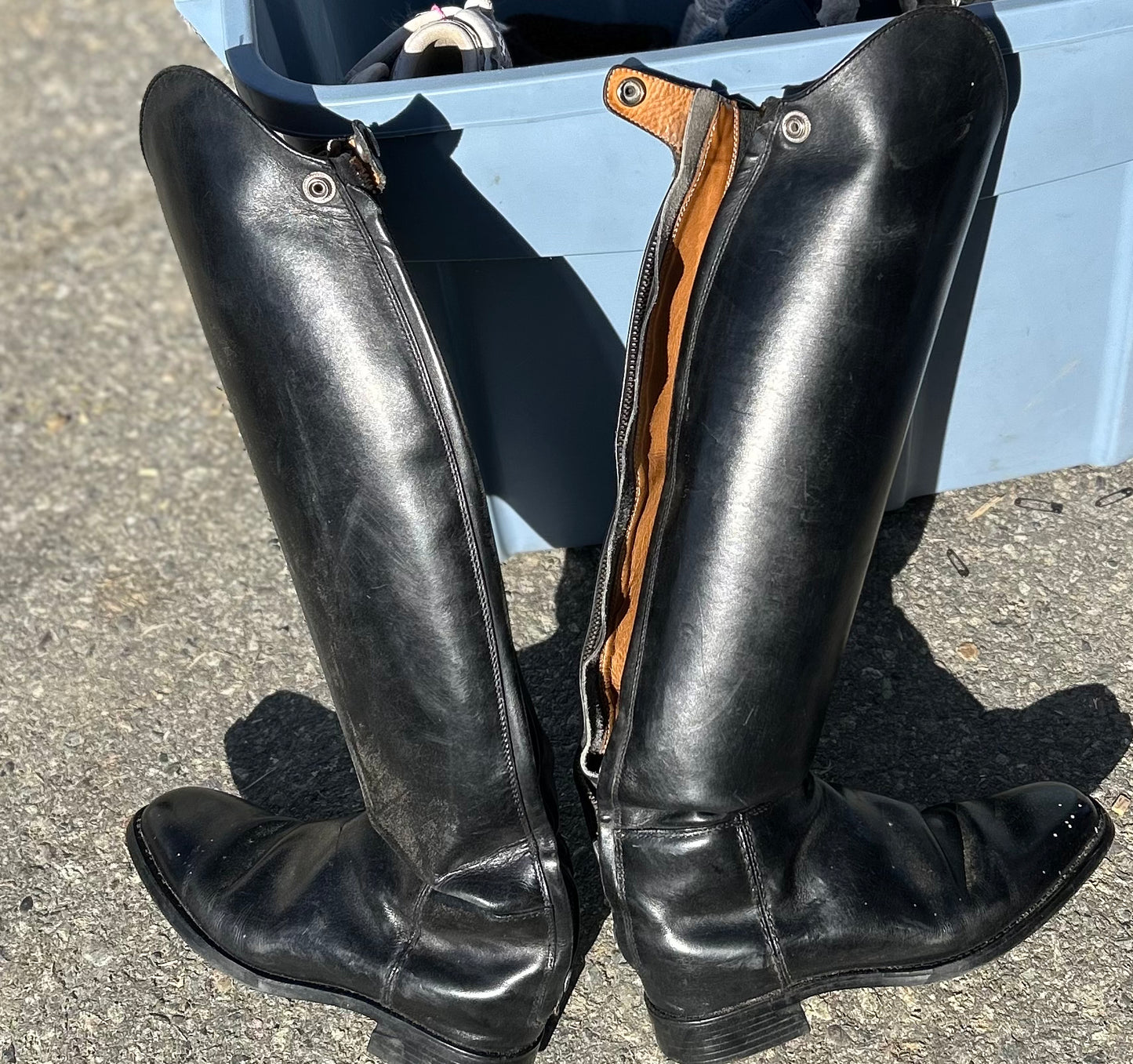 7.5 ariat dress boots