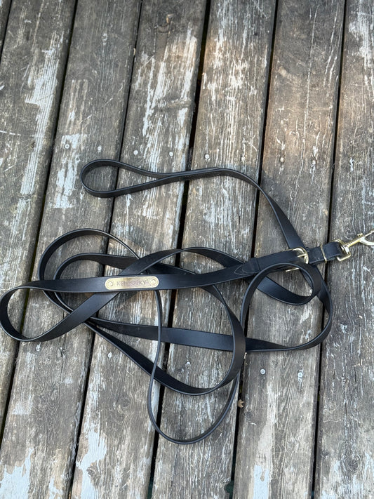Kentucky stallion lead
