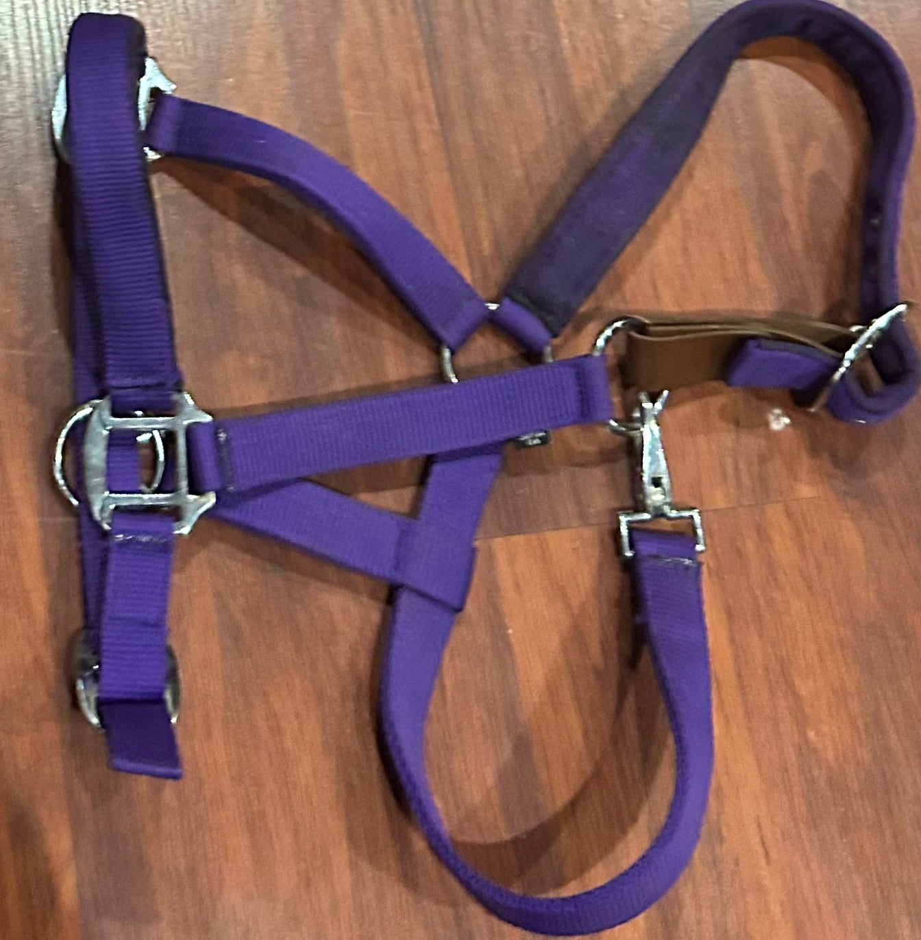 Supra cob purple breakaway halter