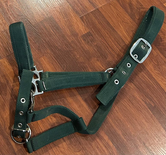 Cob size green felt padded nylon halter