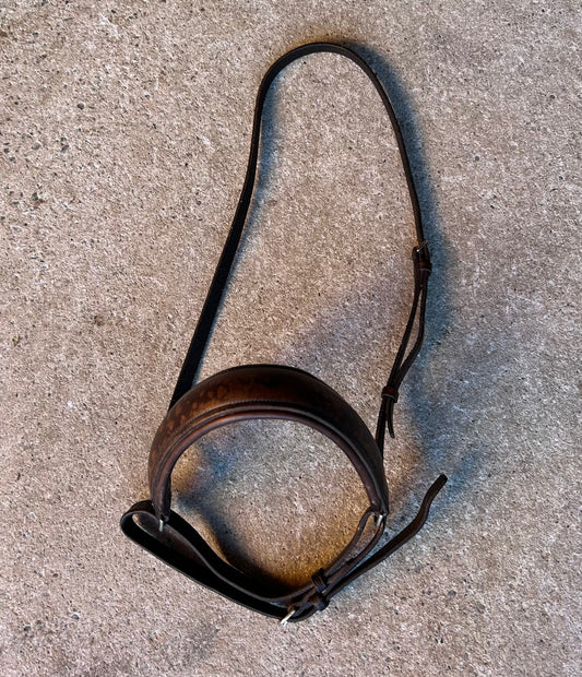 Brown noseband warmblood