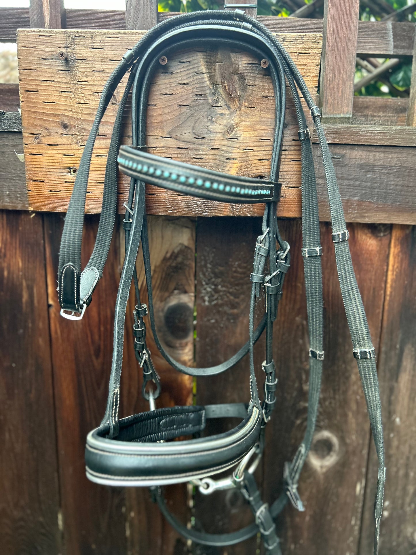 Cob size bridle teal stones silver piping on noseband