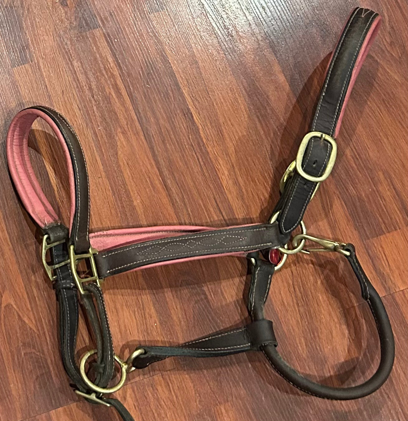 Brown leather halter with pink padding. Full size Moderate condition.
