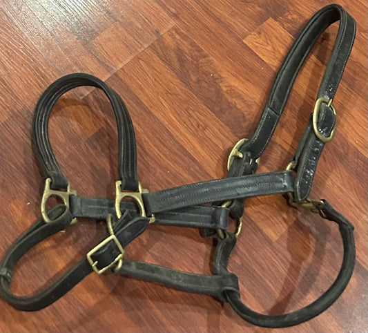 Full size black leather halter needs oiled