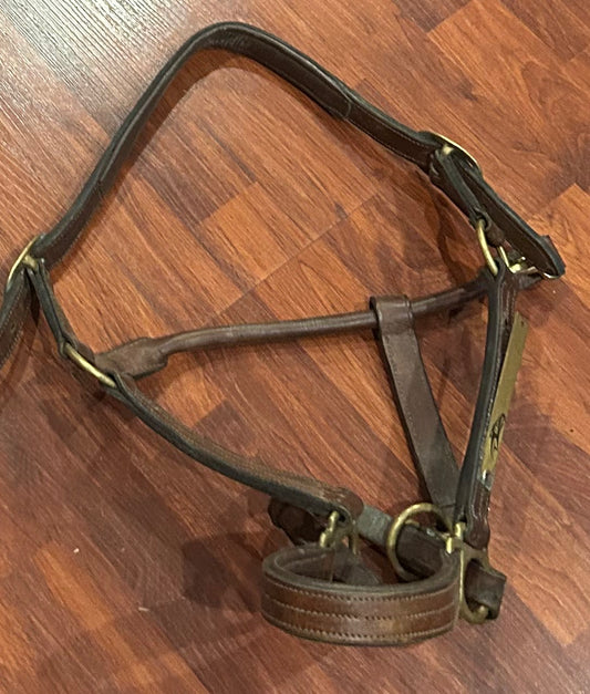 Full size brown leather halter needs oiled.