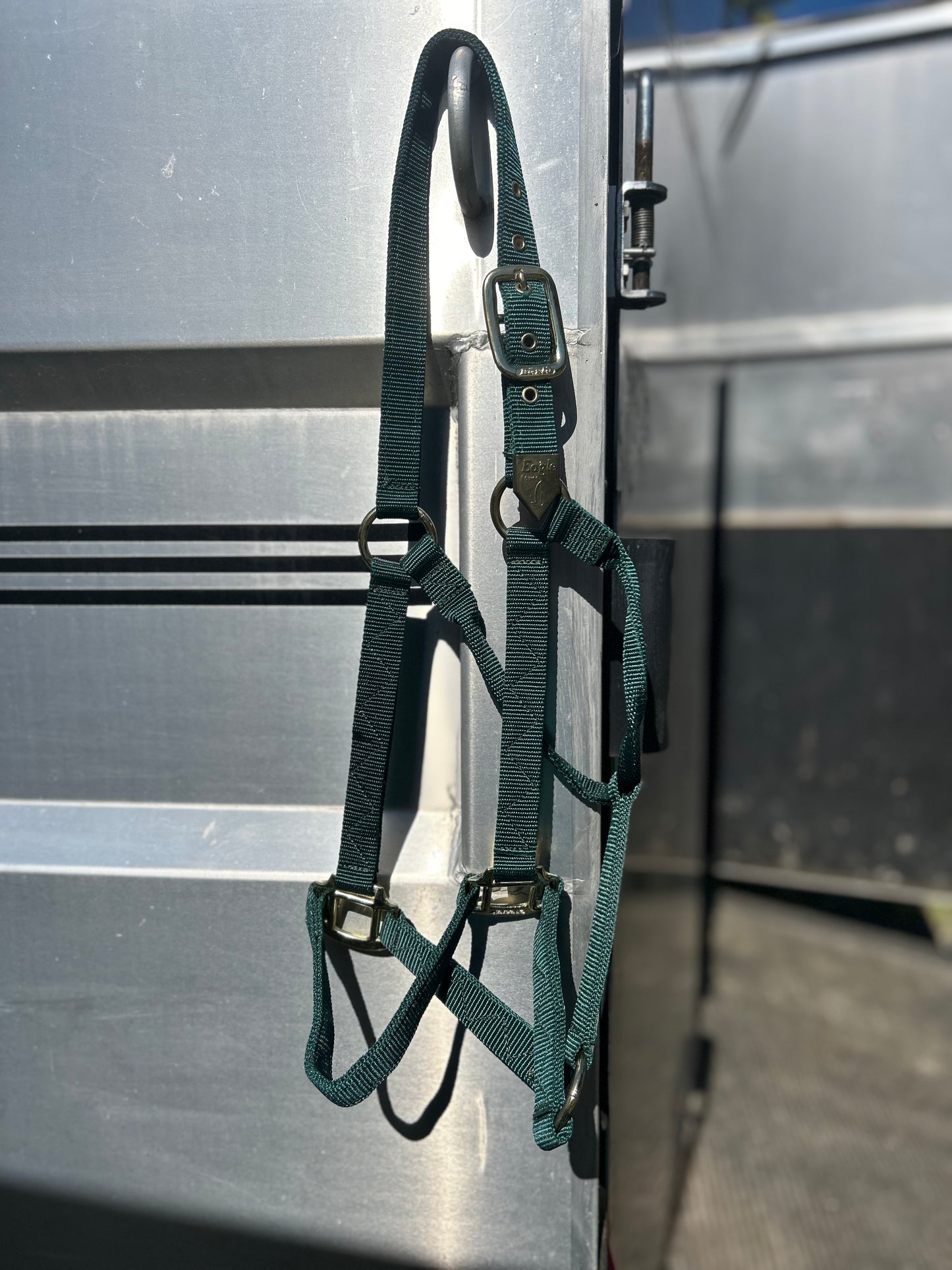 Green large horse nylon halter