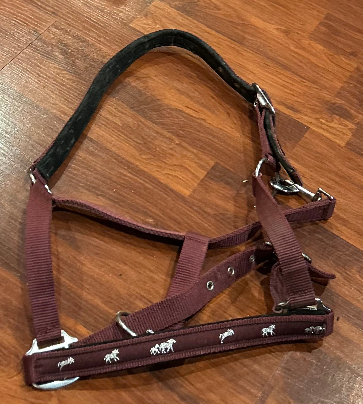 Purple nylon halter full