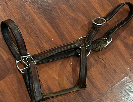 Brown leather halter full size. Damage to crown piece.