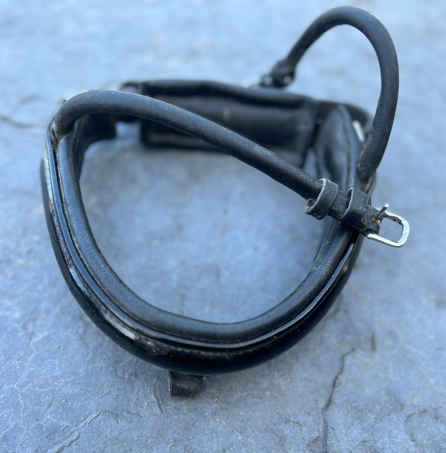 Cob black rolled patent noseband