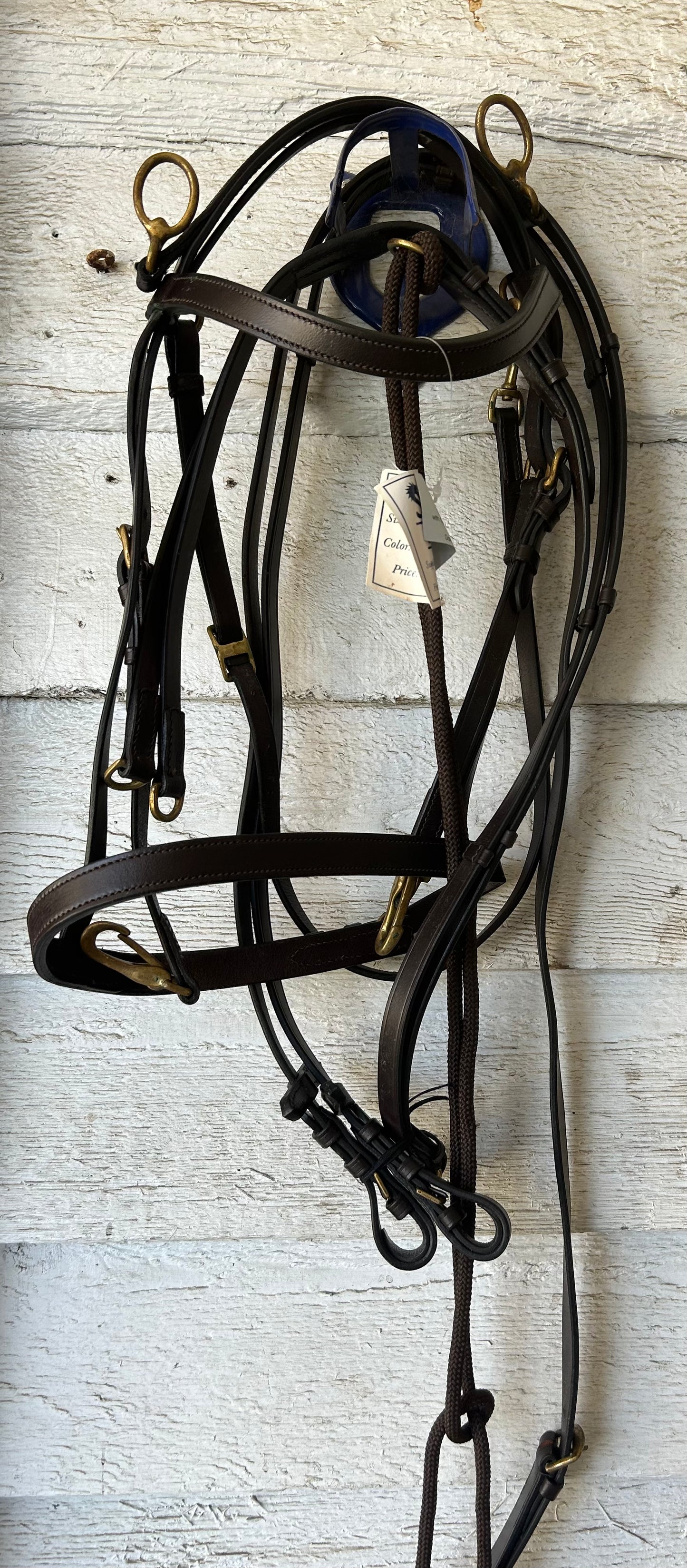 De Gouge full size with attached training bridle and reins.