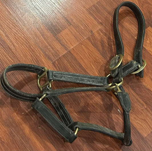 Full size black leather halter needs oiled. Broken one side crown piece so shorter.