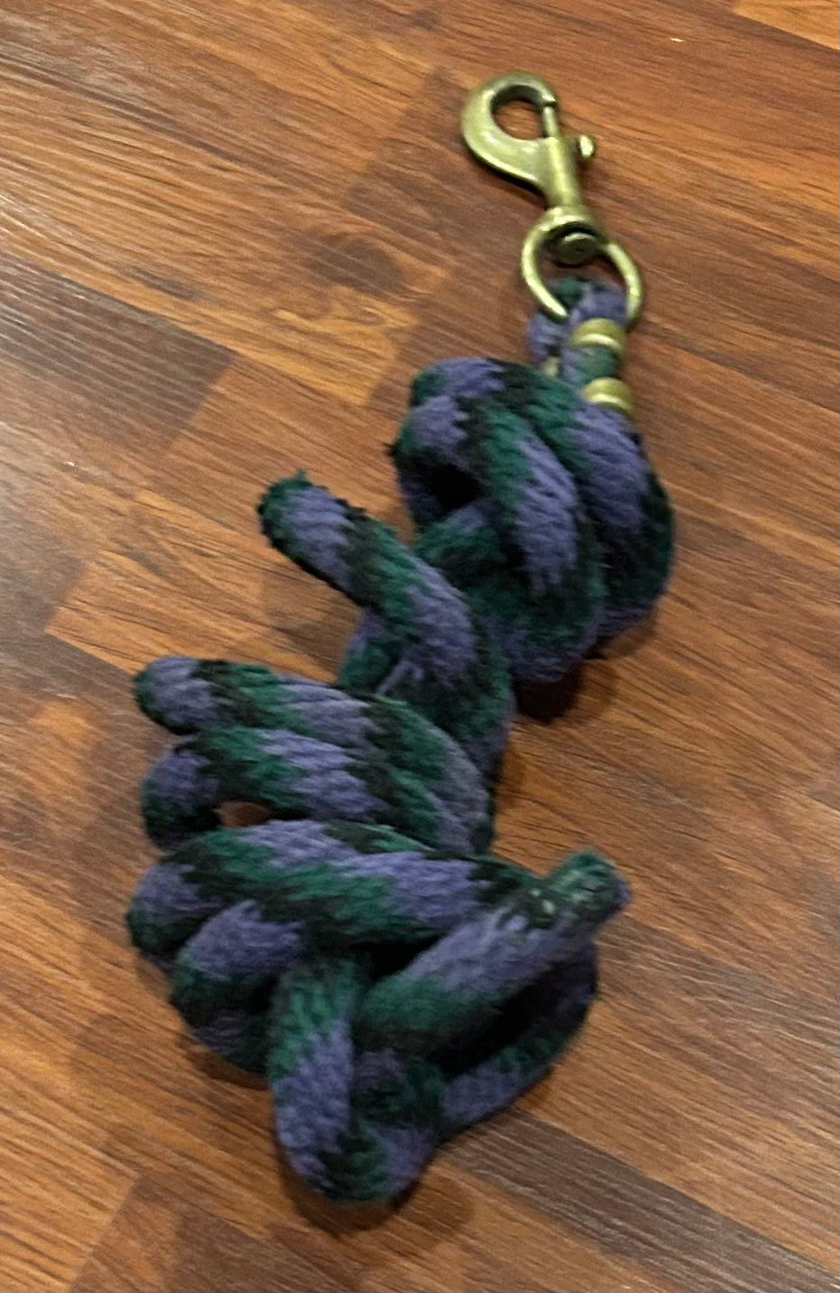 Purple lead rope