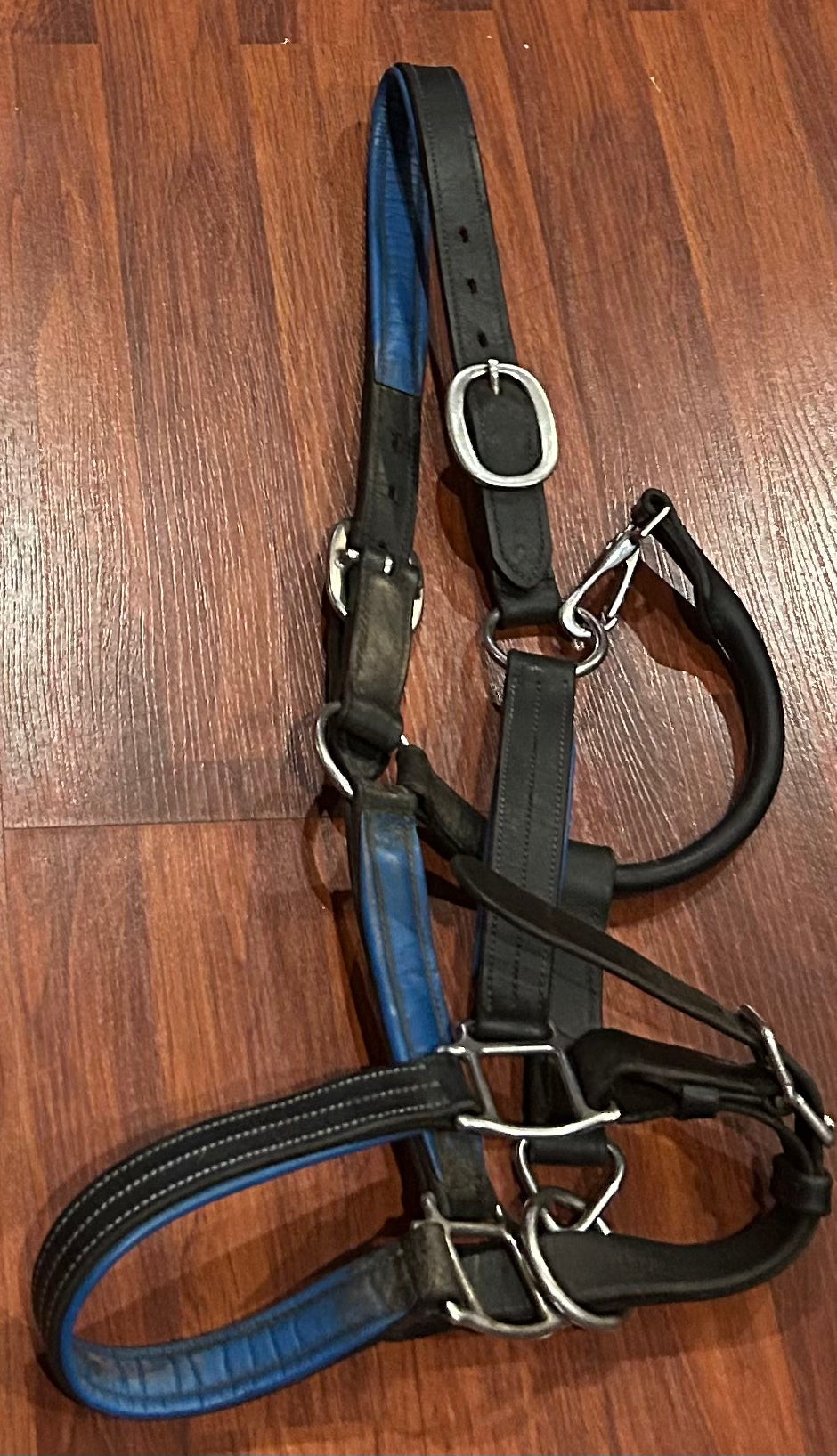 EFO Cob black with blue padding leather halter