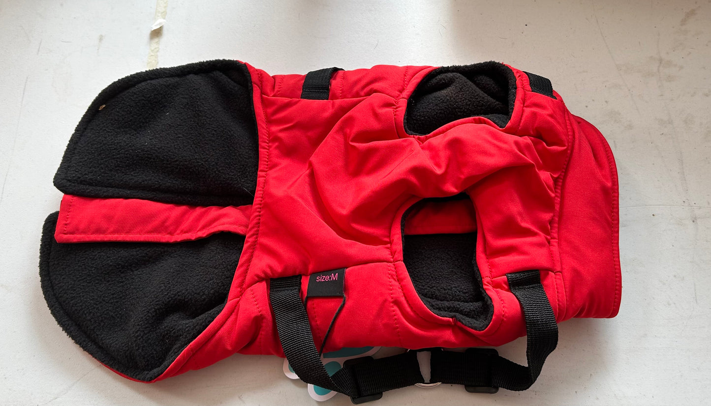 Norbi pet med red dog jacket