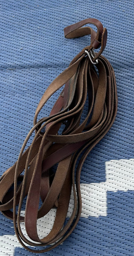 Brown leather driving reins