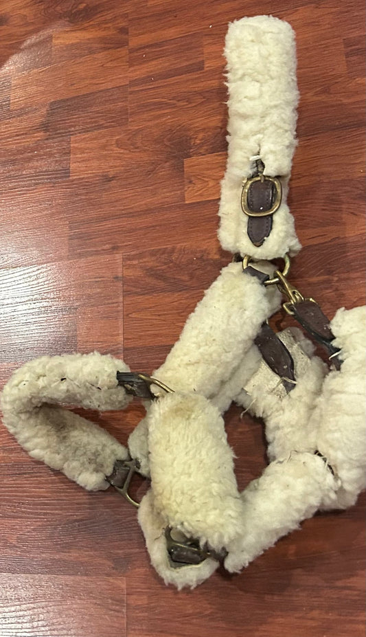shipping halter XFull size. Some wear. Missing one sheepskin