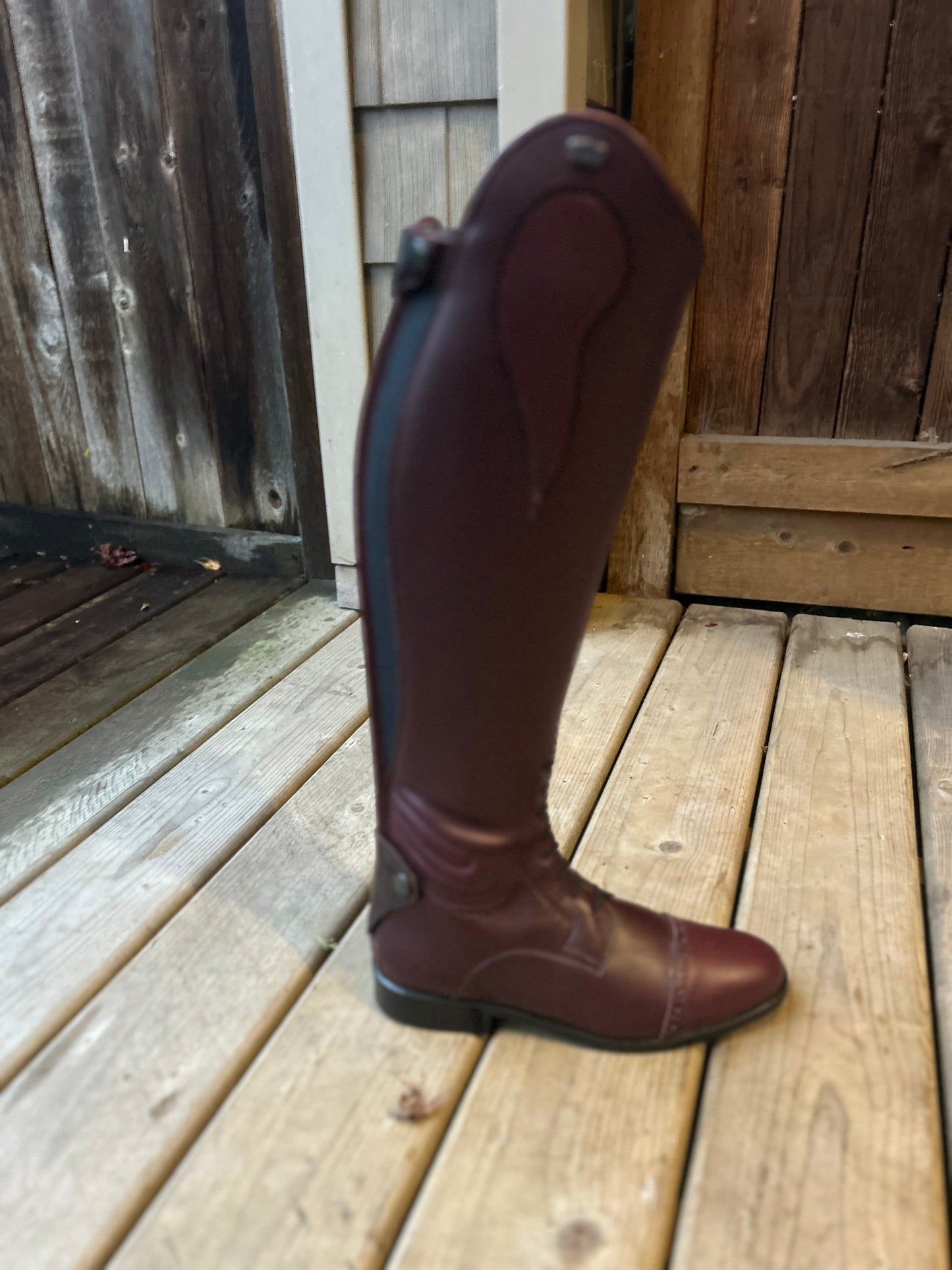 Kingsley size 42 olbia 02 nature Bordeaux MA-S. 15” calf 20.5” tall.