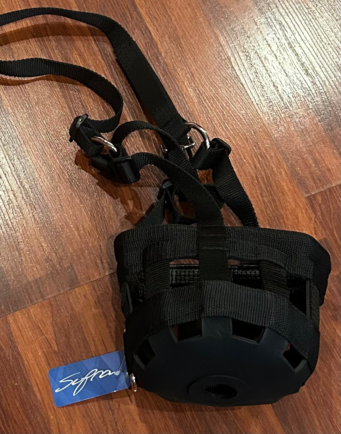 Supra pony gracing muzzle new with tags