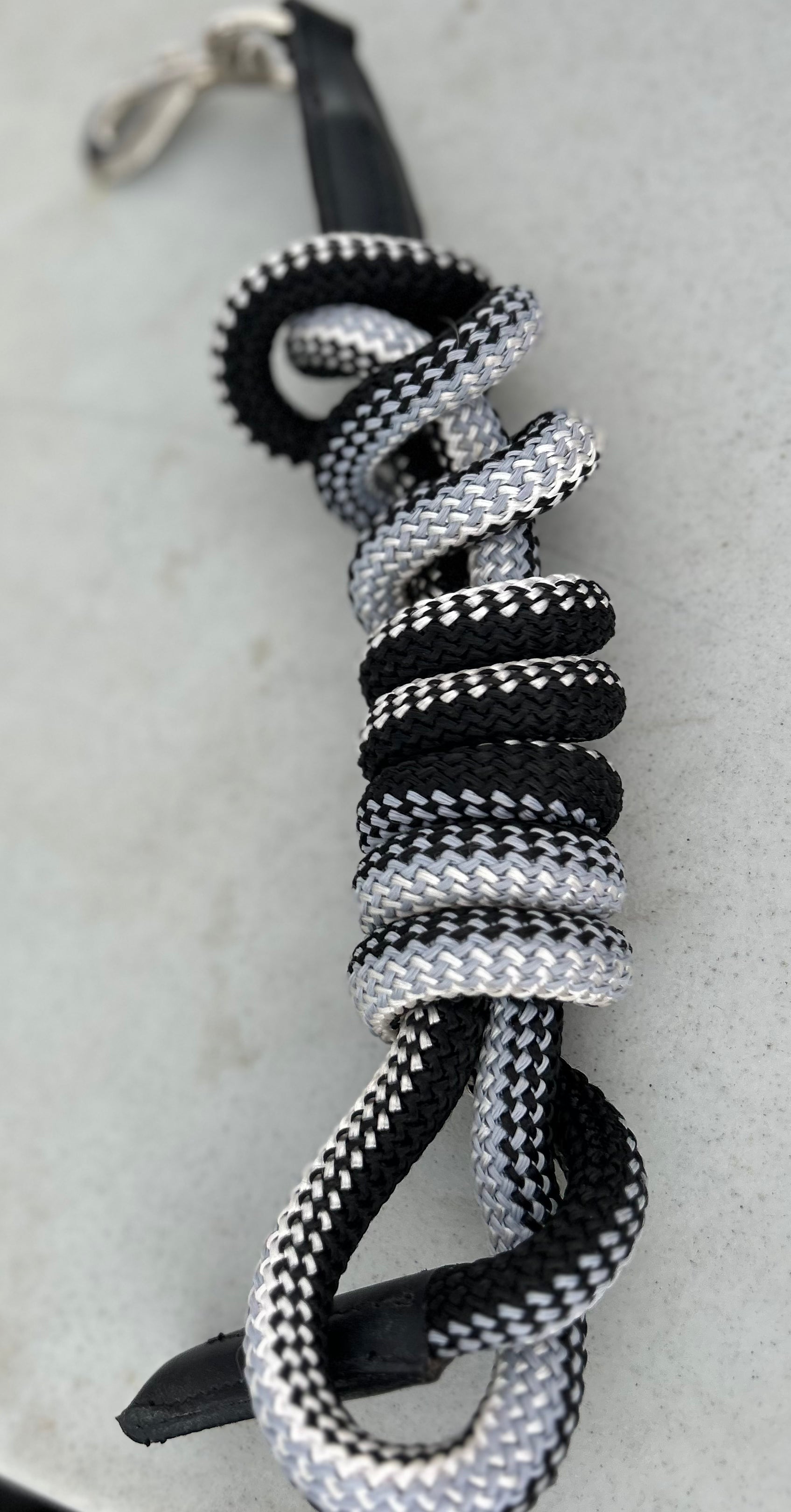 Light blue and black lead rope – All About Tack