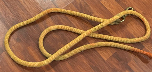 Orange lead rope
