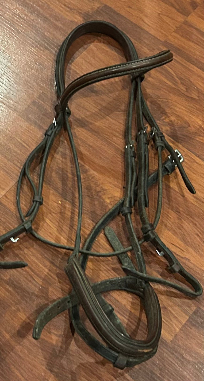 Full size brown raised bridle with flash