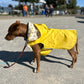 Top Paw Rubber Duckie XL raincoat