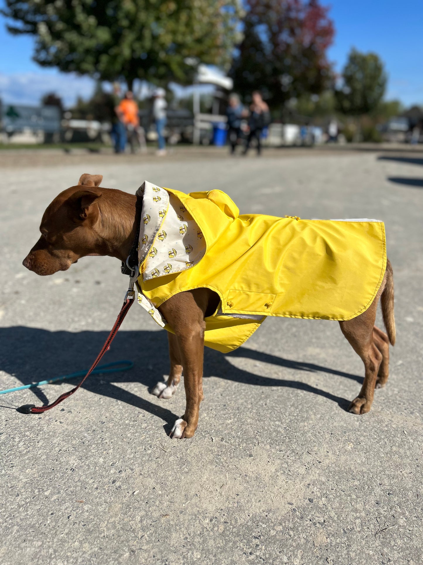 Top Paw Rubber Duckie XL raincoat