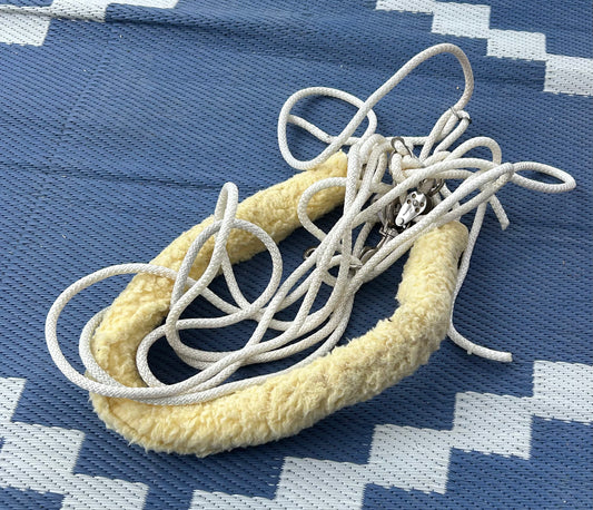Pessoa lunging rig