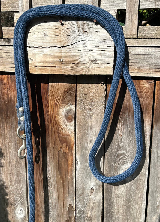 Blue lead rope