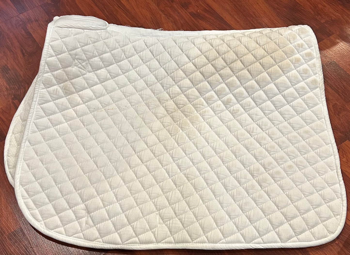 White with wither padding dressage pad. Stained
