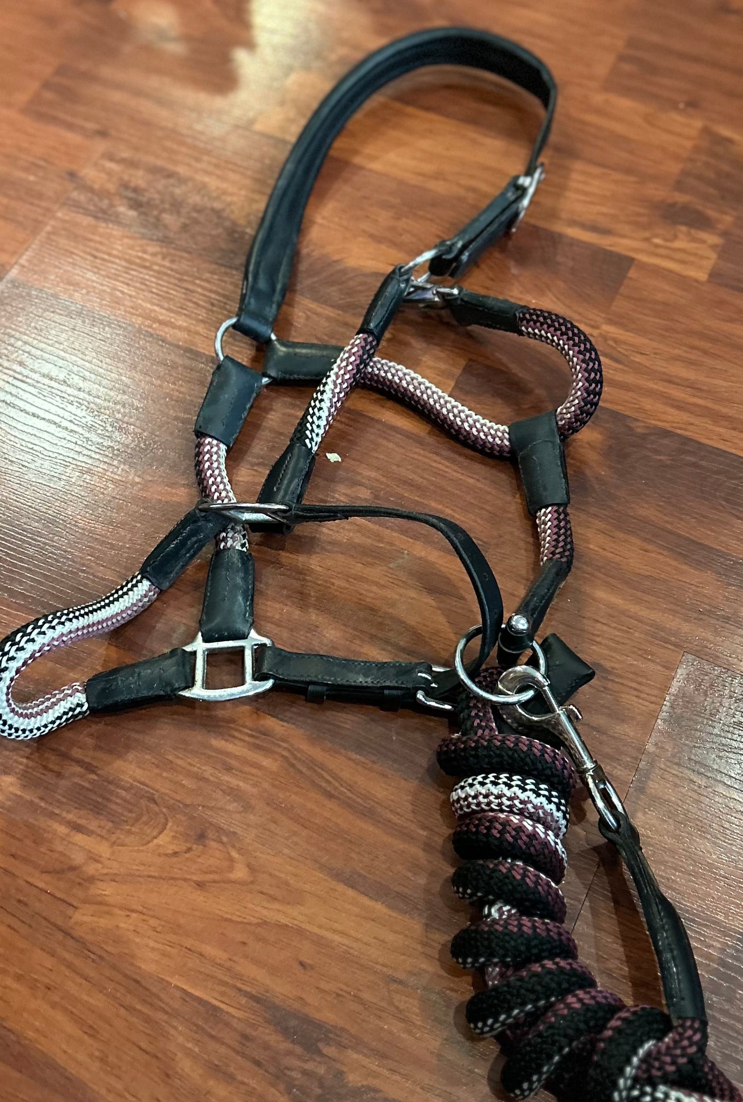 Kavalkade purple halter and lead rope