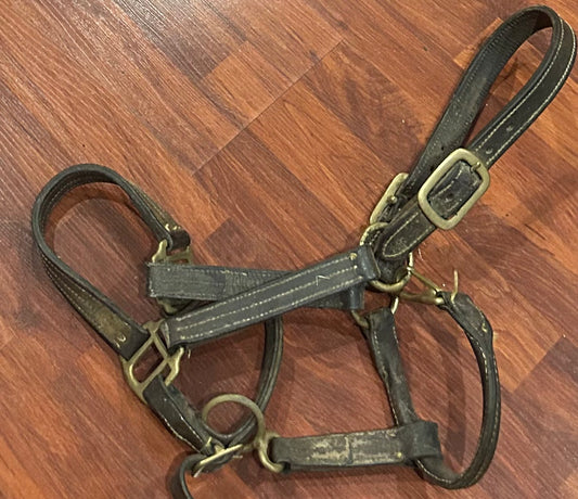 Full size brown leather halter needs oiled and cleaned.