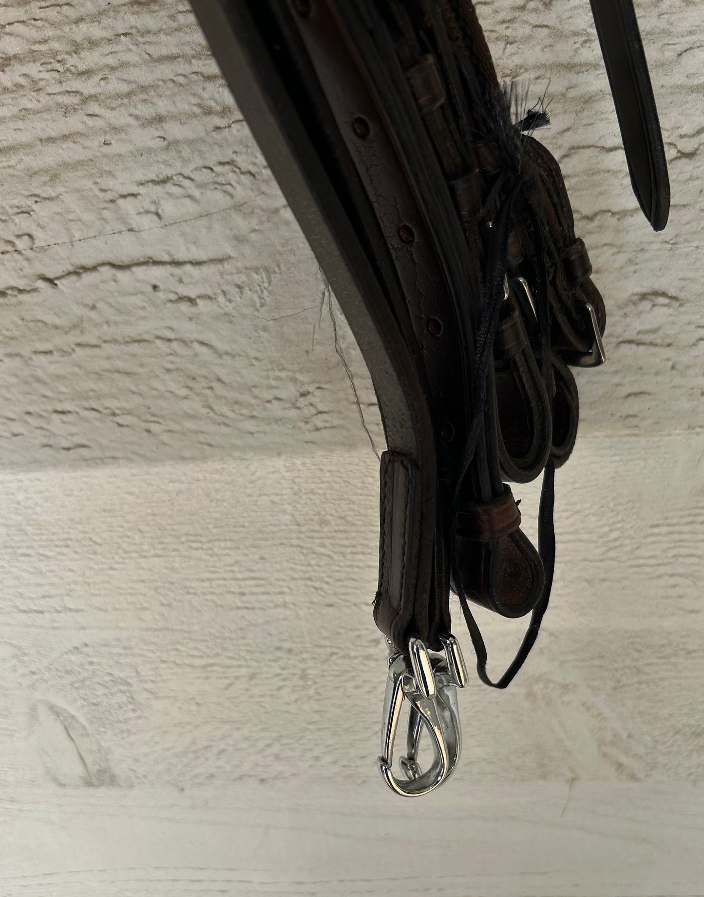 Skyline brown German martingale. New.