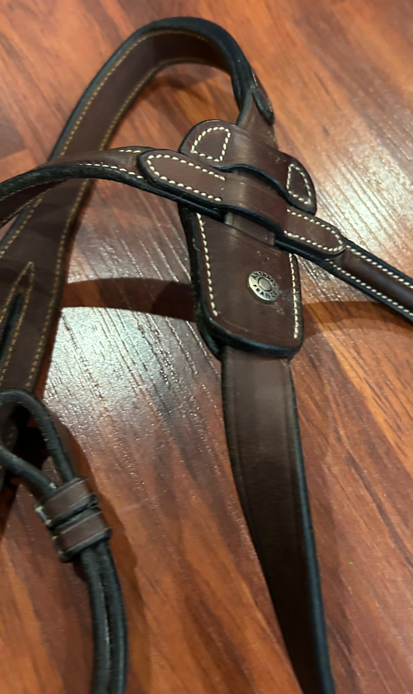 Antares full size running martingale. Brown raised fancy stitch.