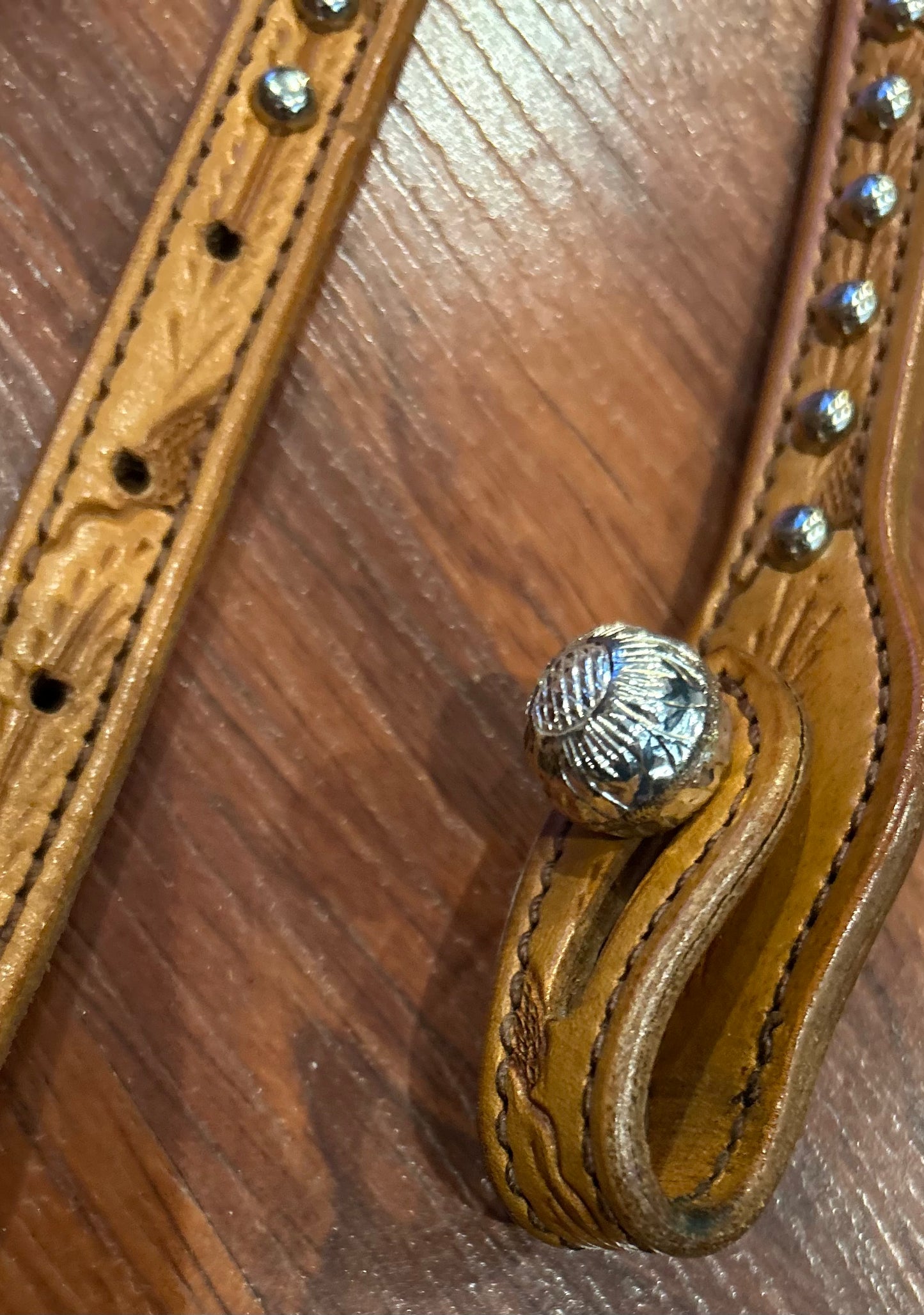 Kathy’s Santana headstall #11 with quick change bit ends