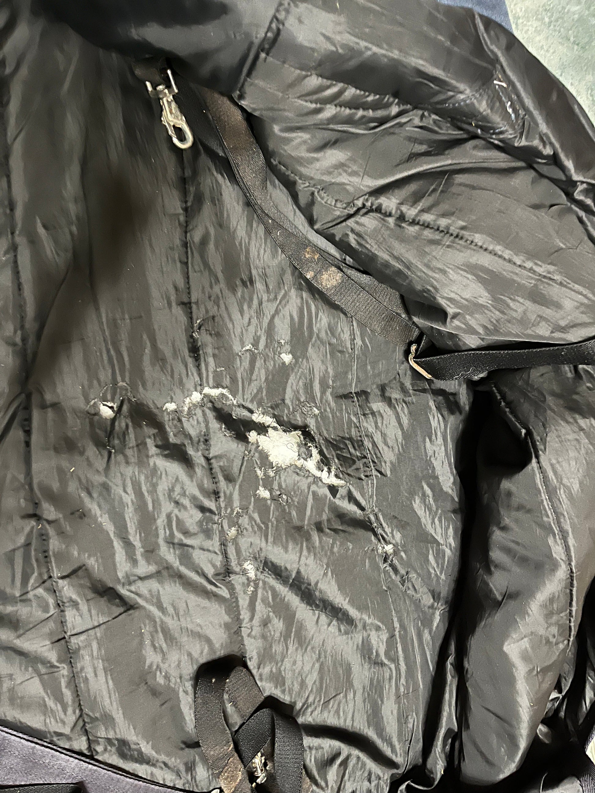 52”Schneiders heavy weight blanket All About Tack