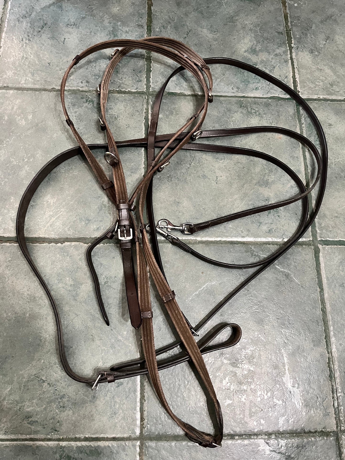 German martingale with webbed reins Full