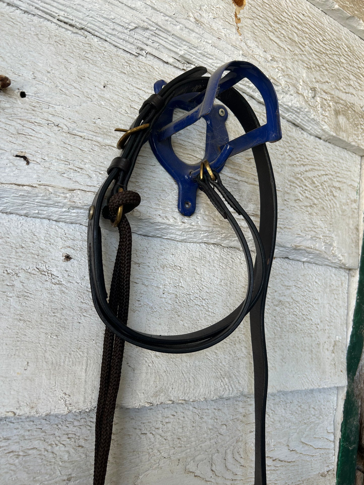 De Gouge full size with attached training bridle and reins.