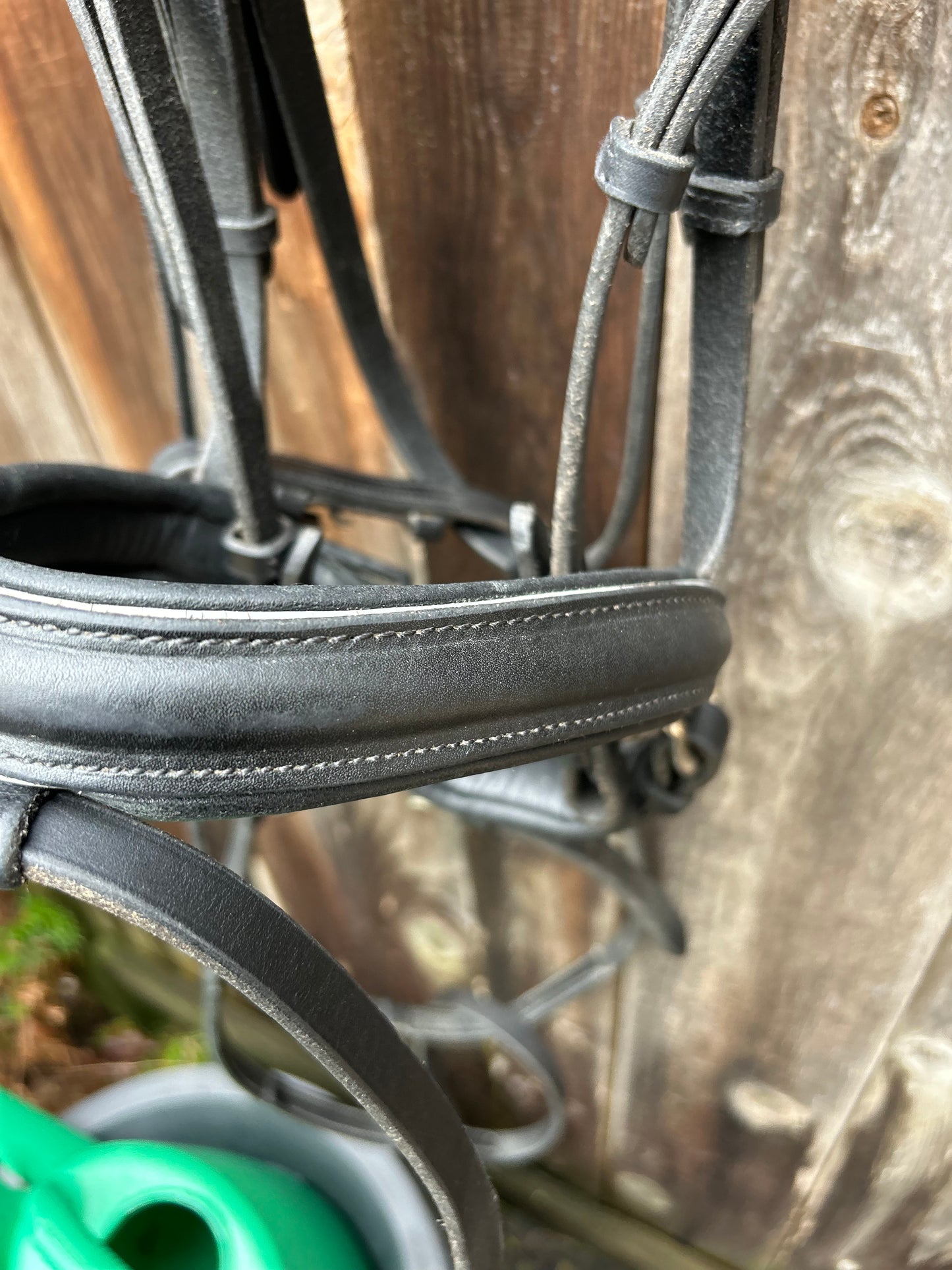 Sommer snaffle bridle full size with reins. Grey piping