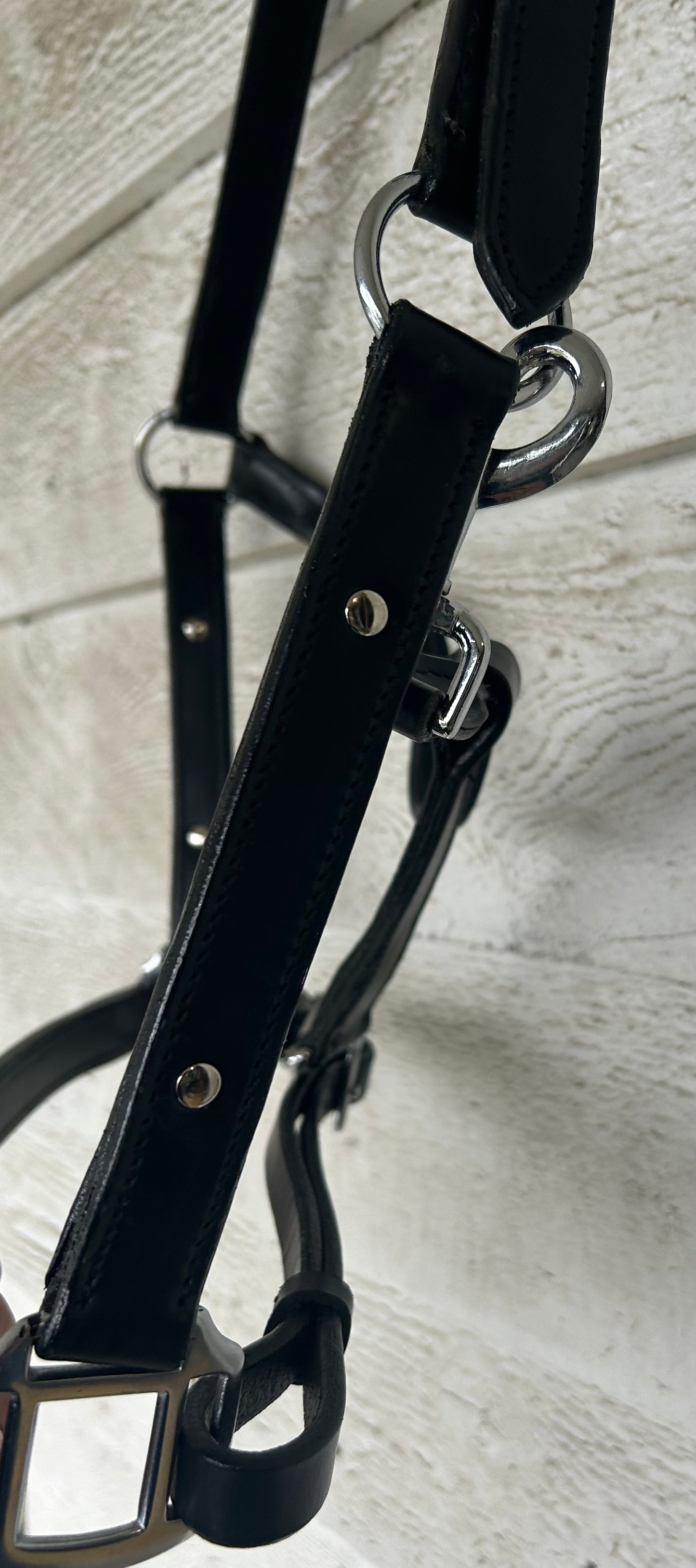 Full ride black leather halter with chrome hardware. Adjusts at chin. Clip. Has rivets on both cheek pieces. Brand new.