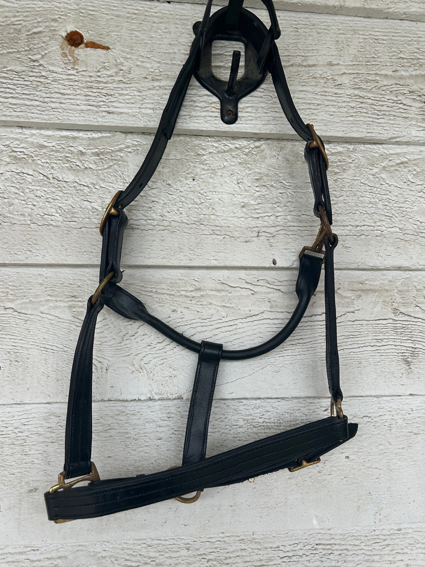 Black cob leather halter. Brass hardware.