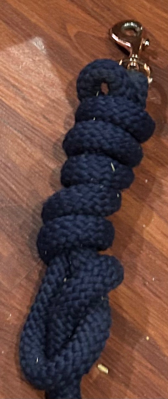 Navy with rose gold lead rope